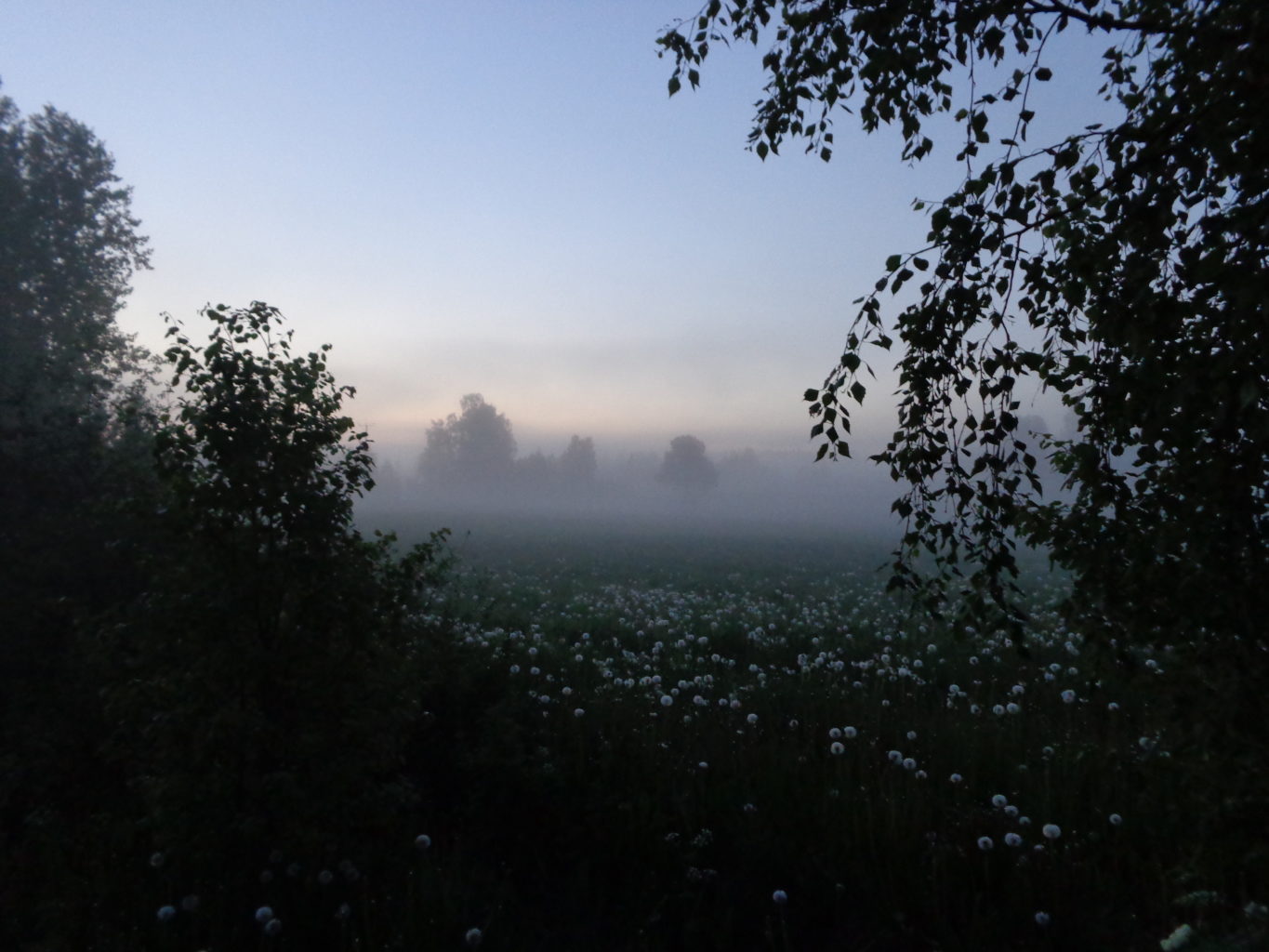 Valokuvaaja: Heli Heiniö