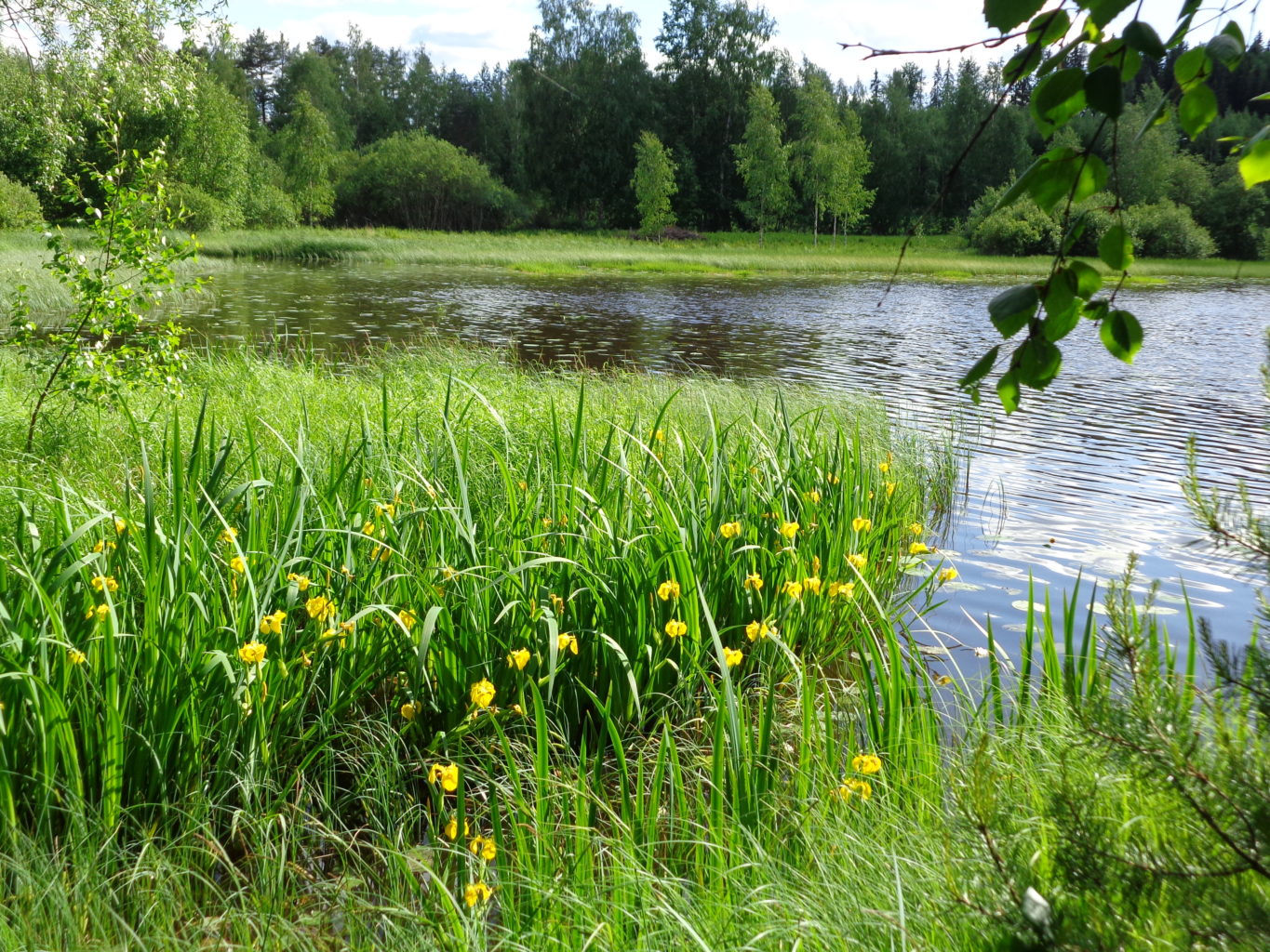 Valokuvaaja: Heli Heiniö Valokuvaaja: Heli Heiniö