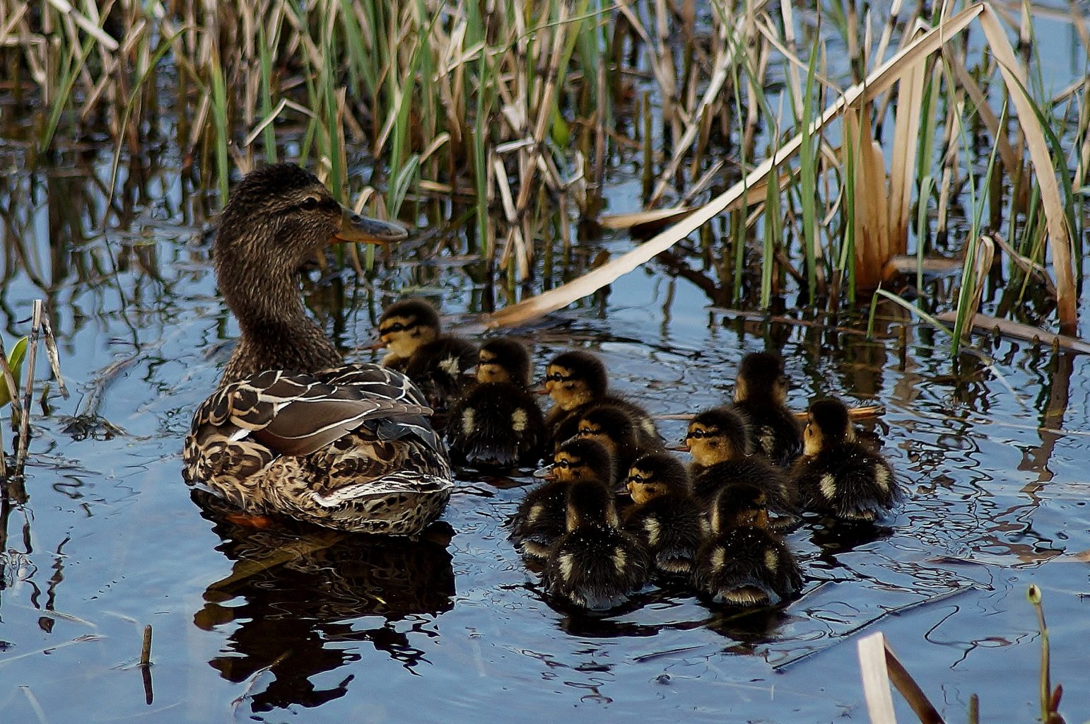 Valokuvaaja: Maarit Siitonen