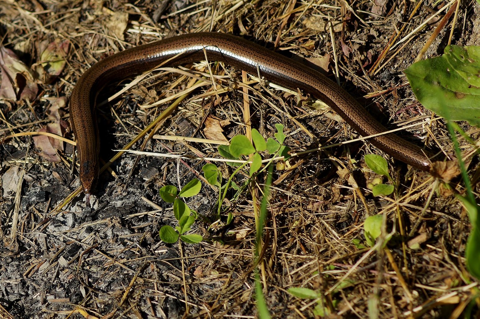Valokuvaaja: Maarit Siitonen