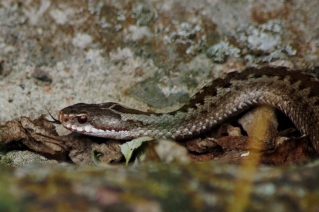 Valokuvaaja: Maarit Siitonen