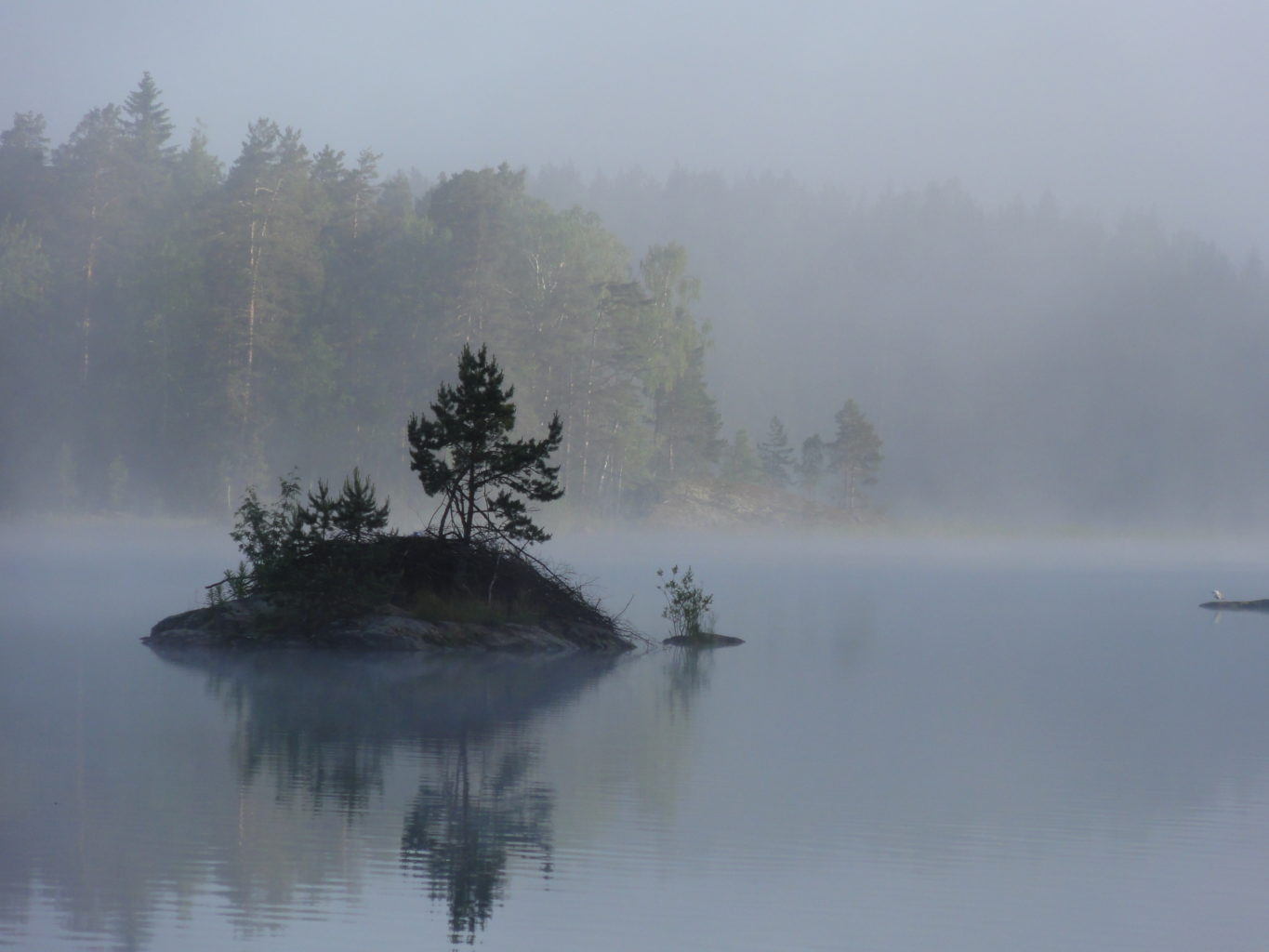 Valokuvaaja: Vuokko Virtanen