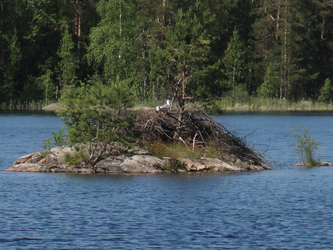Valokuvaaja: Vuokko Virtanen Valokuvaaja: Vuokko Virtanen