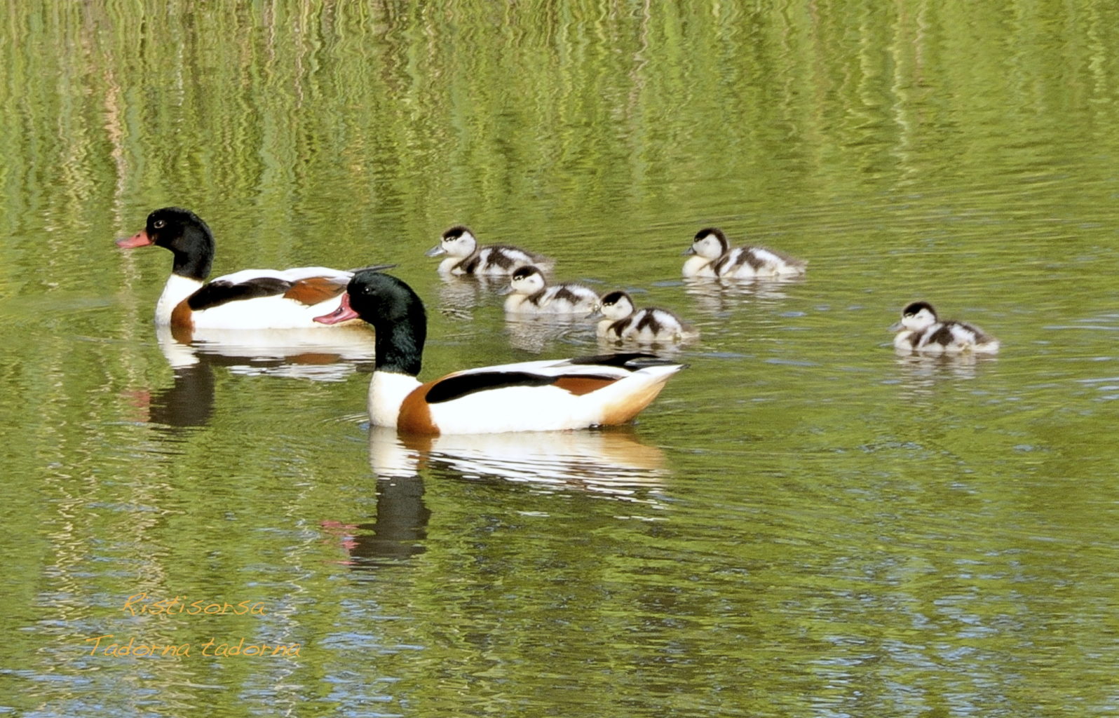 Valokuvaaja: Jouni Marttila