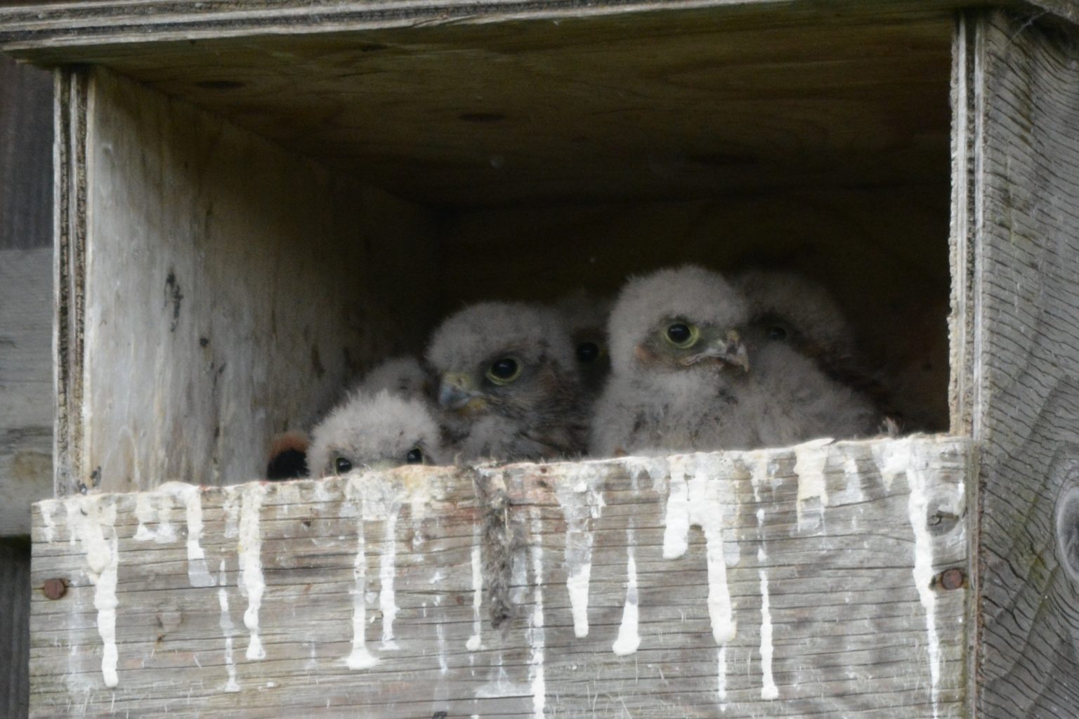 Valokuvaaja: Kari Wallenius