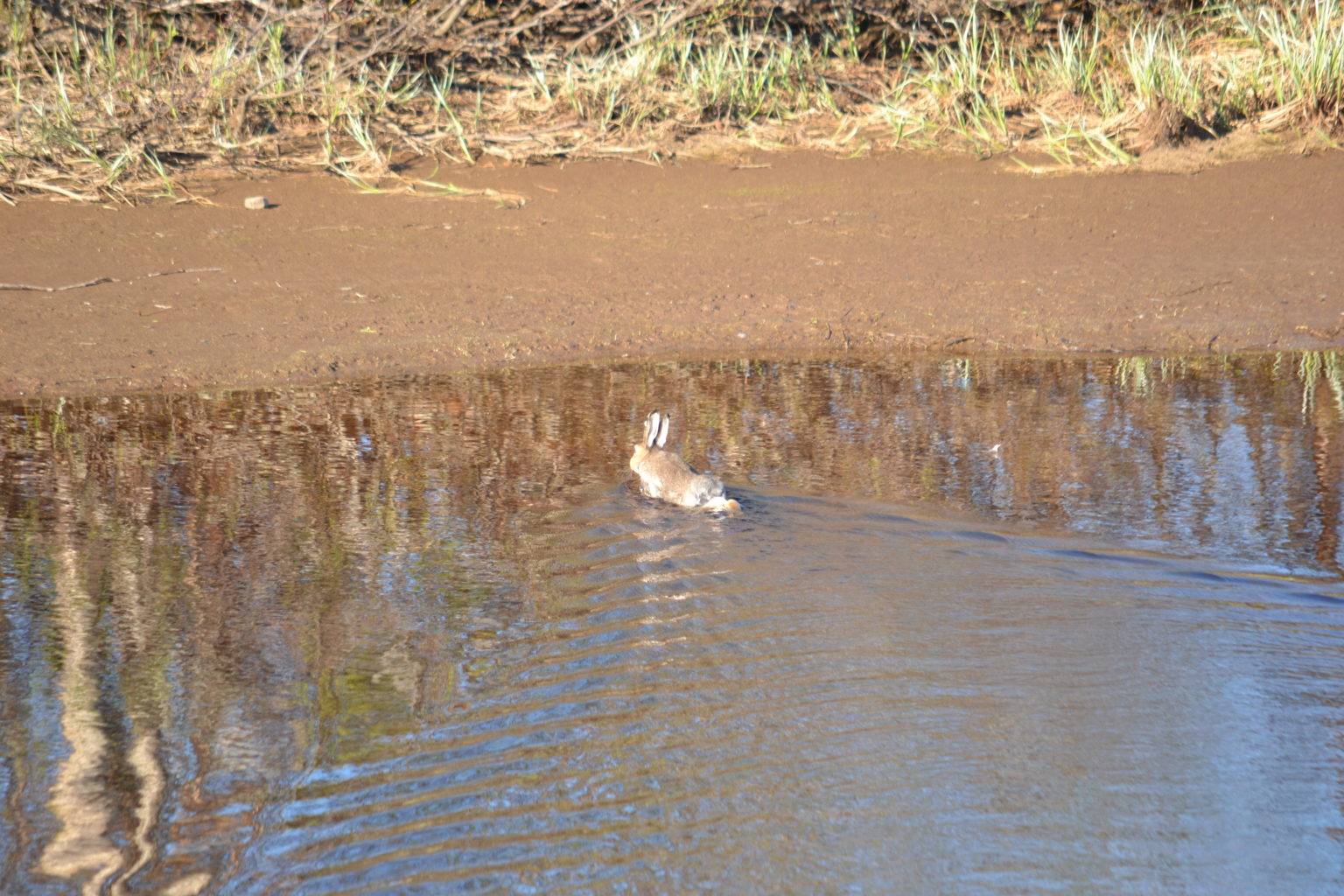 Valokuvaaja: Kirsi Nikkola Valokuvaaja: Kirsi Nikkola