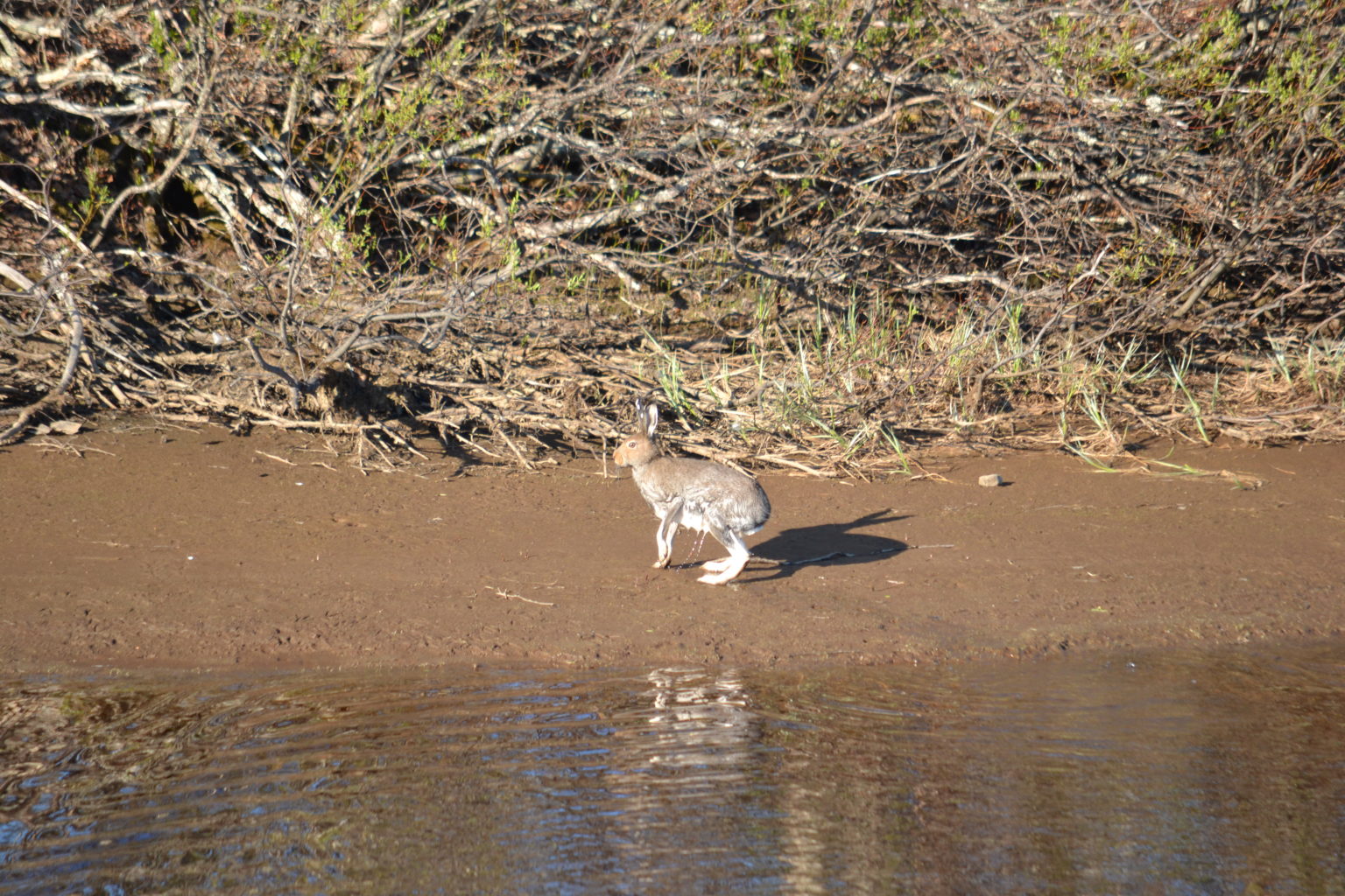Valokuvaaja: Kirsi Nikkola Valokuvaaja: Kirsi Nikkola