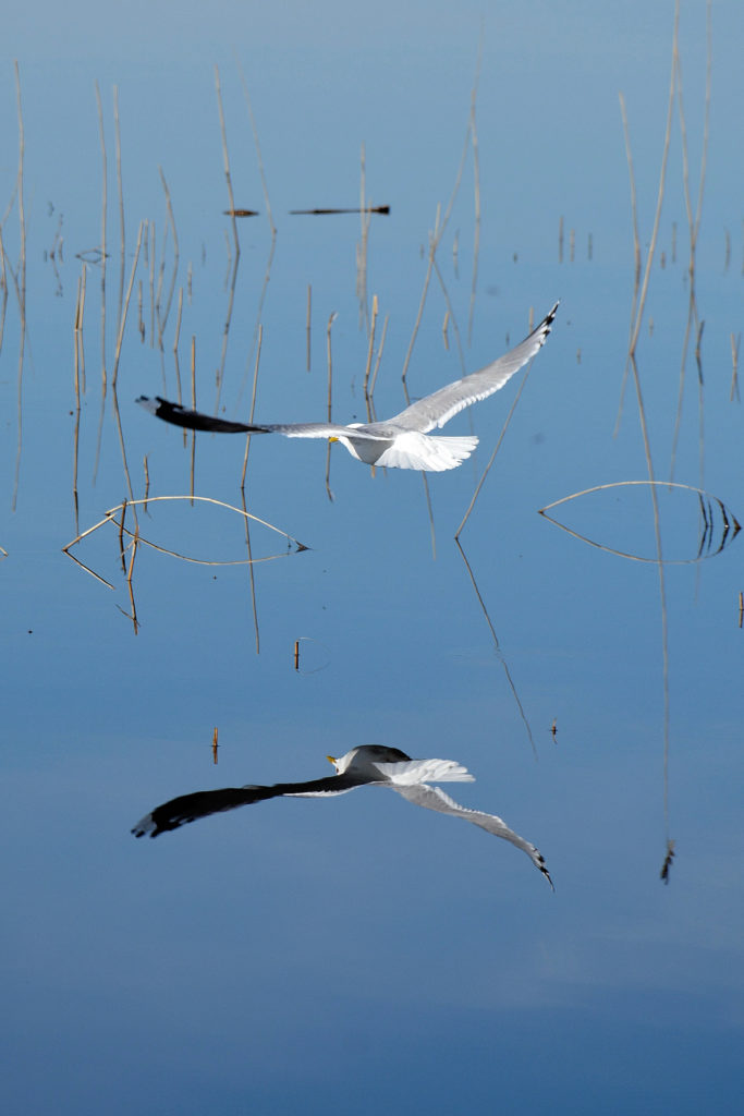 Valokuvaaja: Mikko Tahvanainen