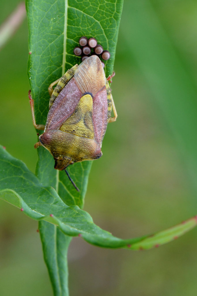 Valokuvaaja: Mikko Tahvanainen