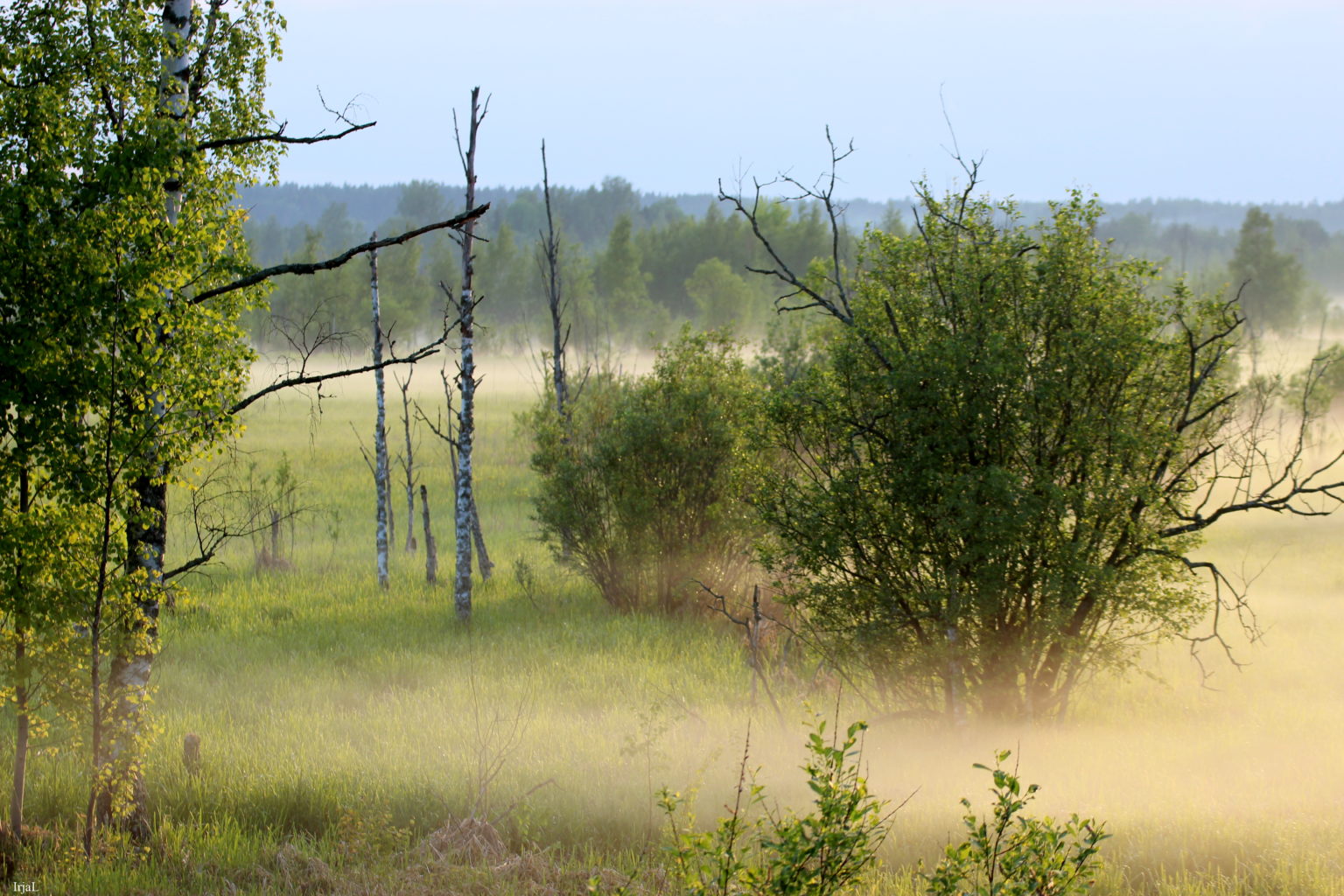 Valokuvaaja: Irja Lehtinen
