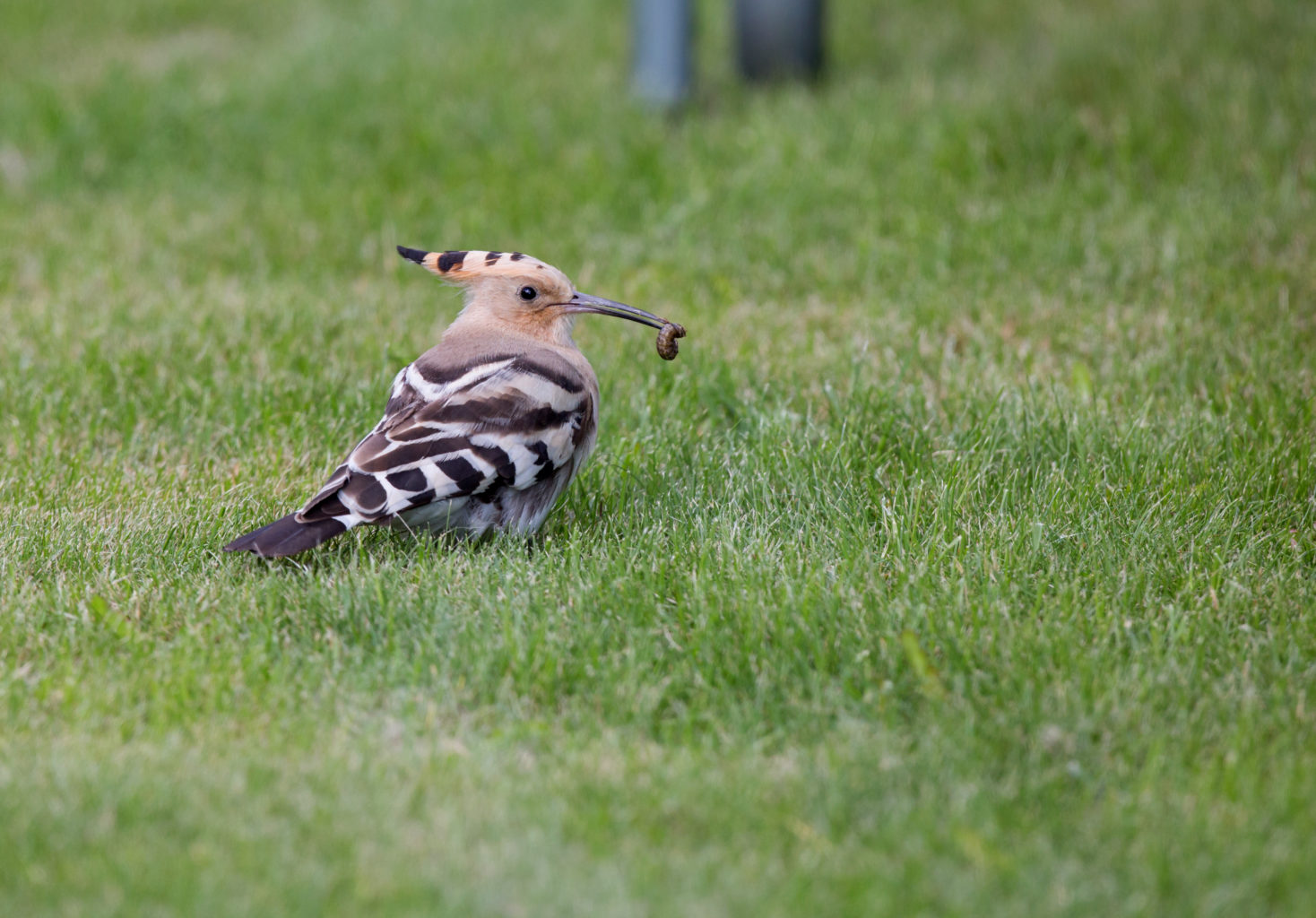 Valokuvaaja: Rauli Ranta