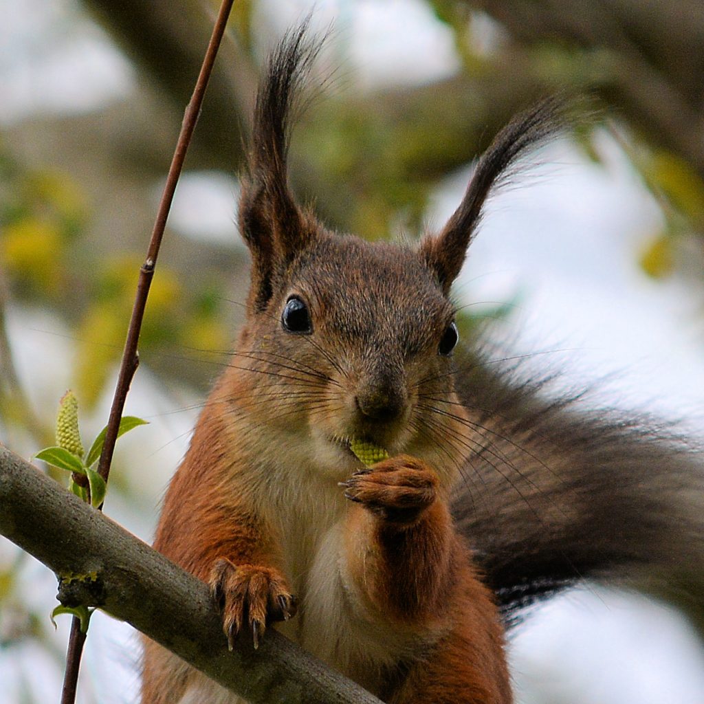 Valokuvaaja: Kari Laakkonen