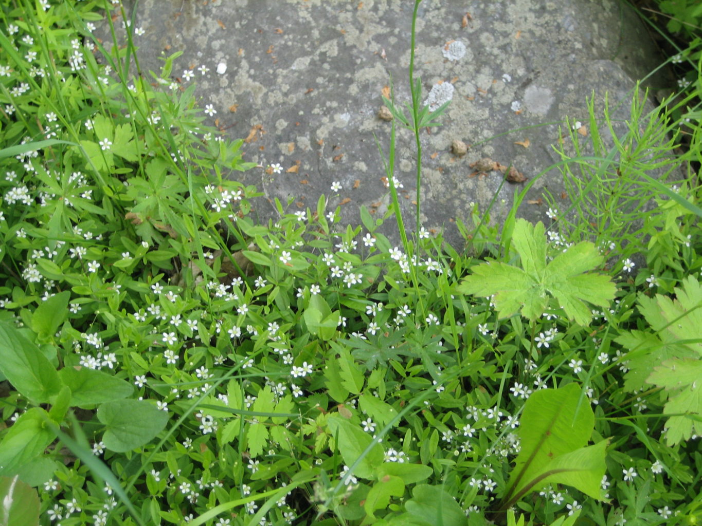 Valokuvaaja: Marja Marjamaa