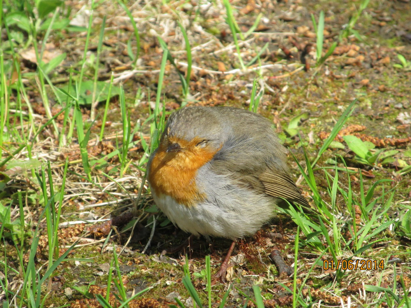 Valokuvaaja: Tuula Makkonen