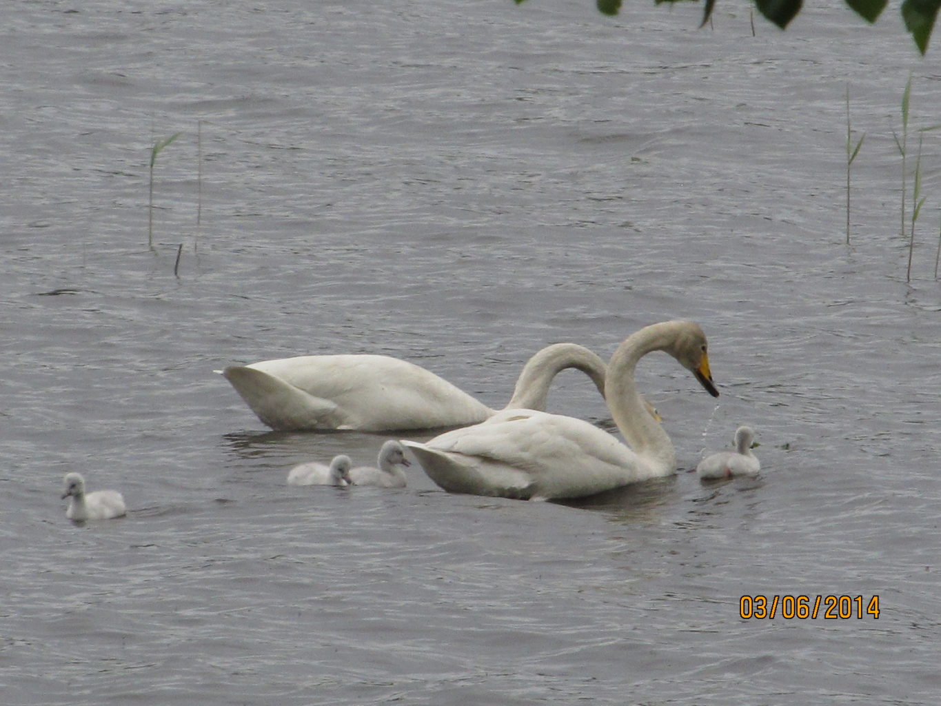 Valokuvaaja: Tuula Makkonen