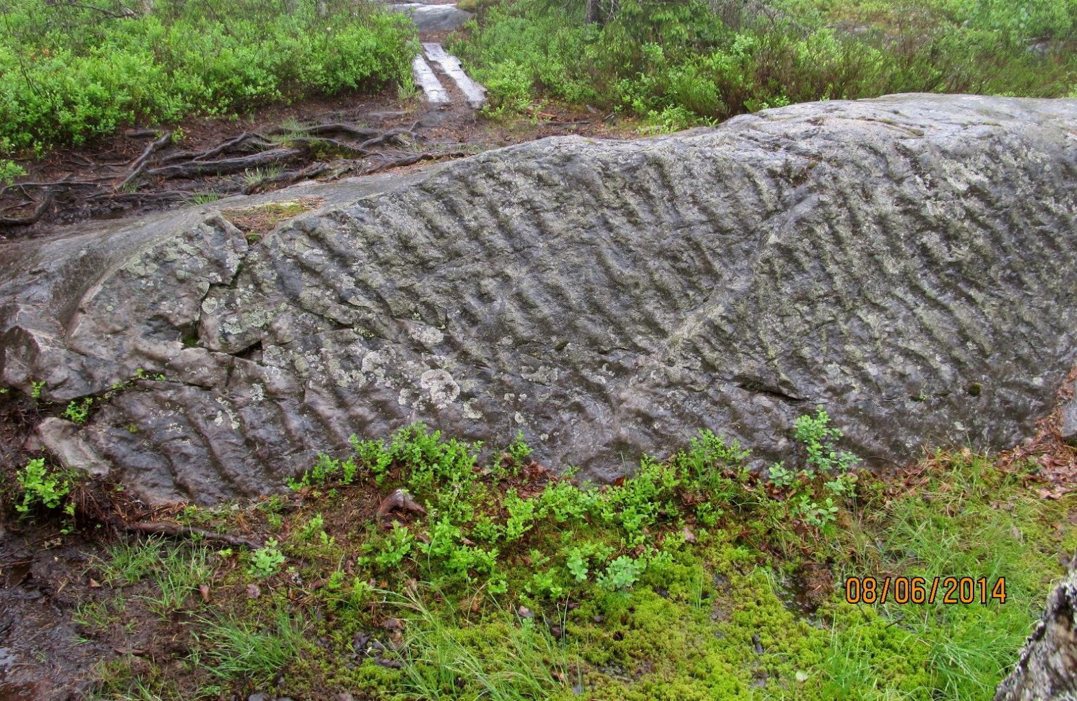 Valokuvaaja: Tuula Makkonen