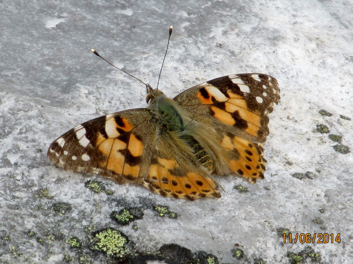 Valokuvaaja: Tuula Makkonen Valokuvaaja: Tuula Makkonen