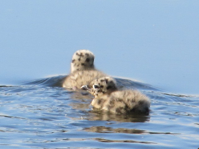 Valokuvaaja: Tuula Makkonen