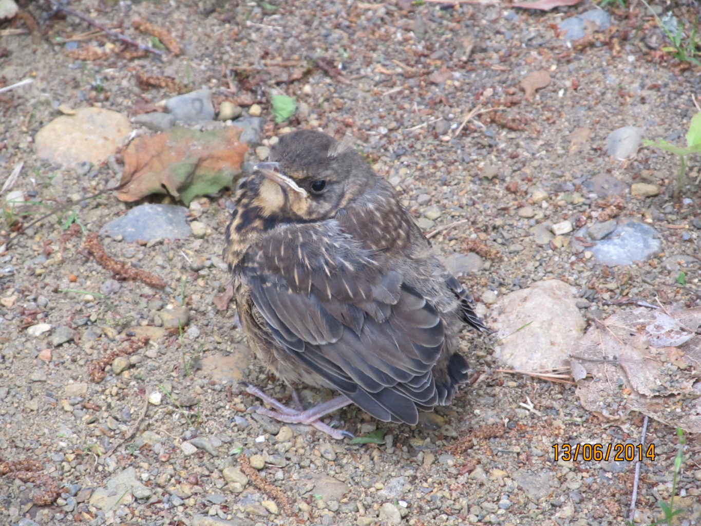 Valokuvaaja: Tuula Makkonen Valokuvaaja: Tuula Makkonen