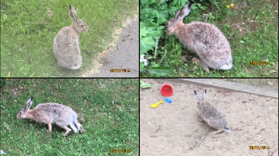 Valokuvaaja: Tuula Makkonen