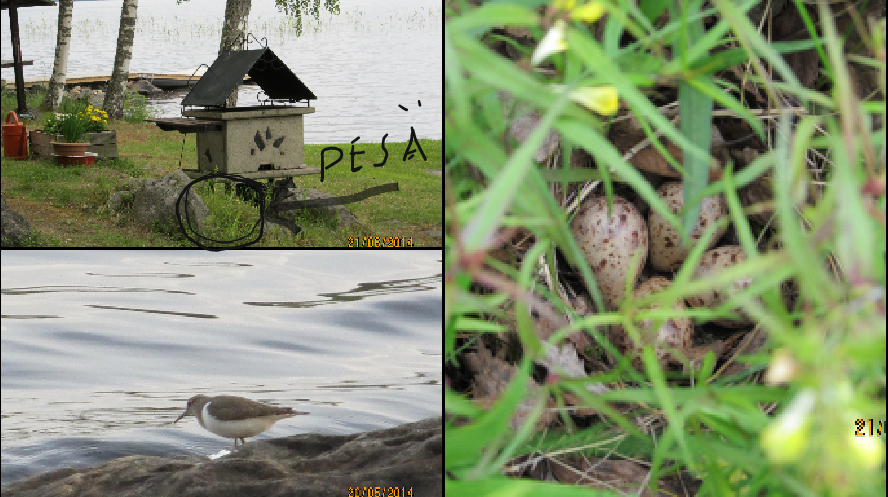 Valokuvaaja: Tuula Makkonen