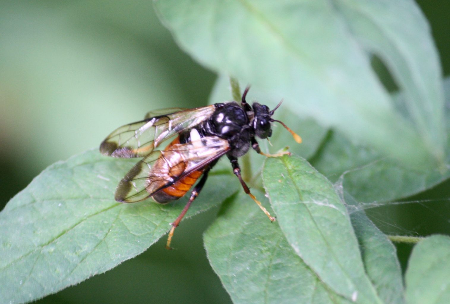Valokuvaaja: Tuula Vilva
