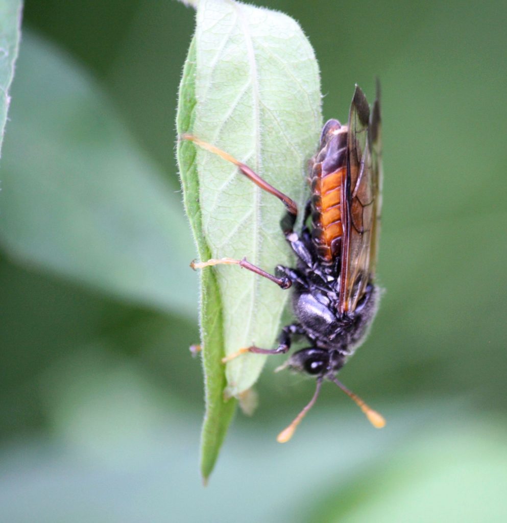 Valokuvaaja: Tuula Vilva