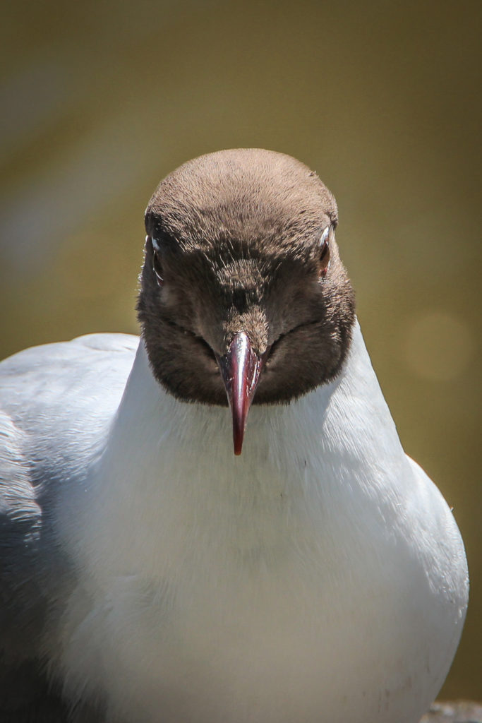 Valokuvaaja: Teija Ruuhola