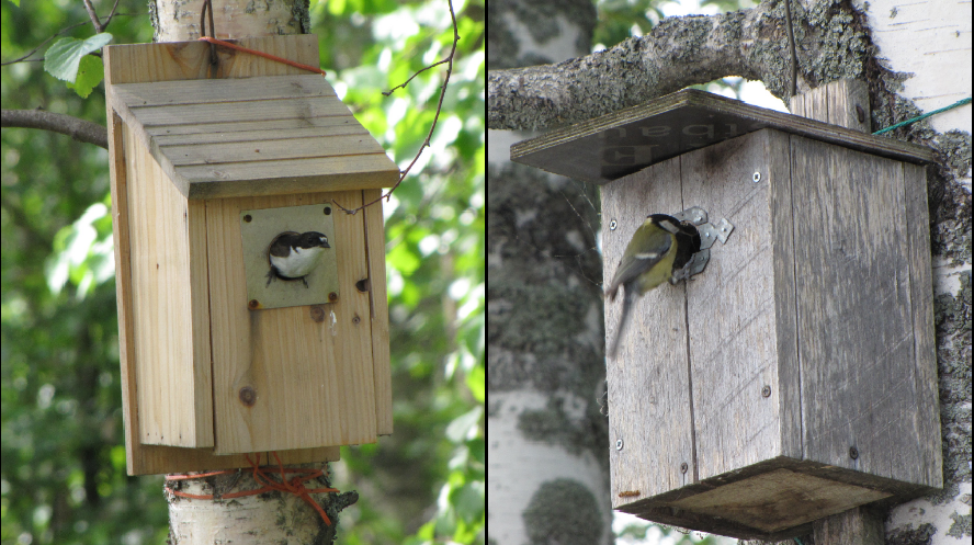 Valokuvaaja: Tuula Makkonen