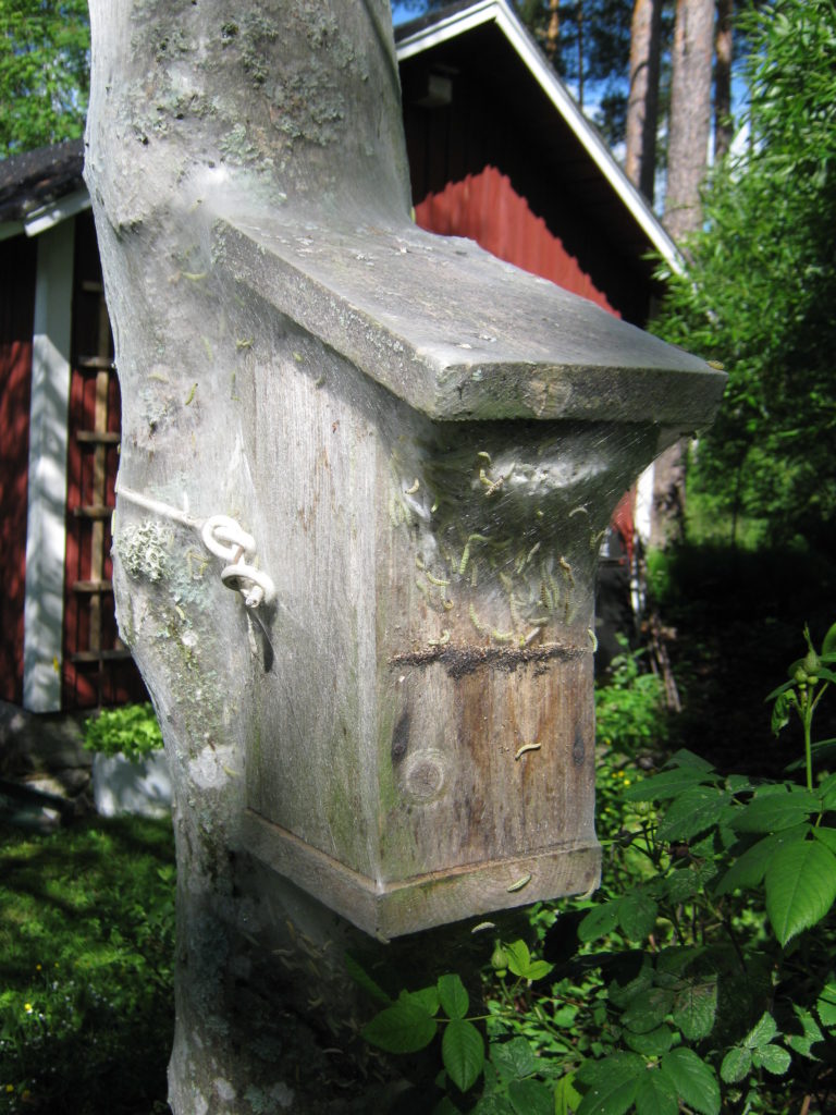 Valokuvaaja: Kari Sallinen