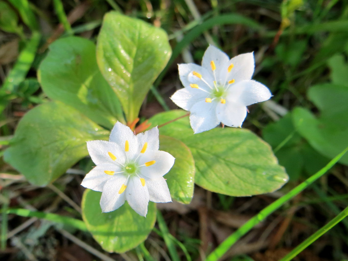 Valokuvaaja: Sirkka Ruotoistenmäki