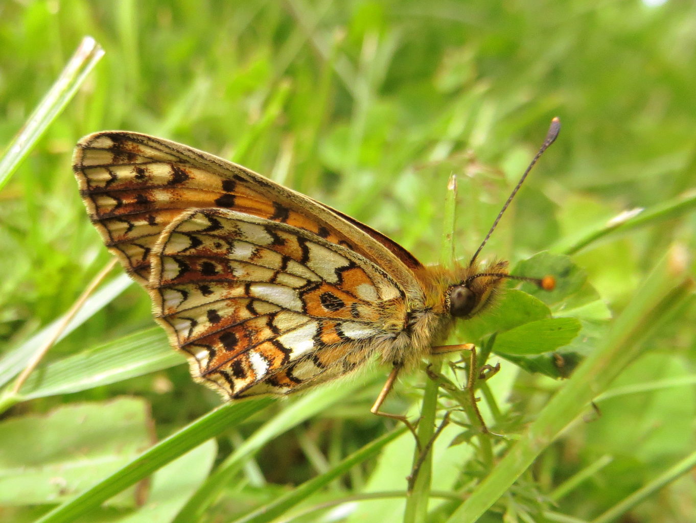 Valokuvaaja: Sirkka Ruotoistenmäki