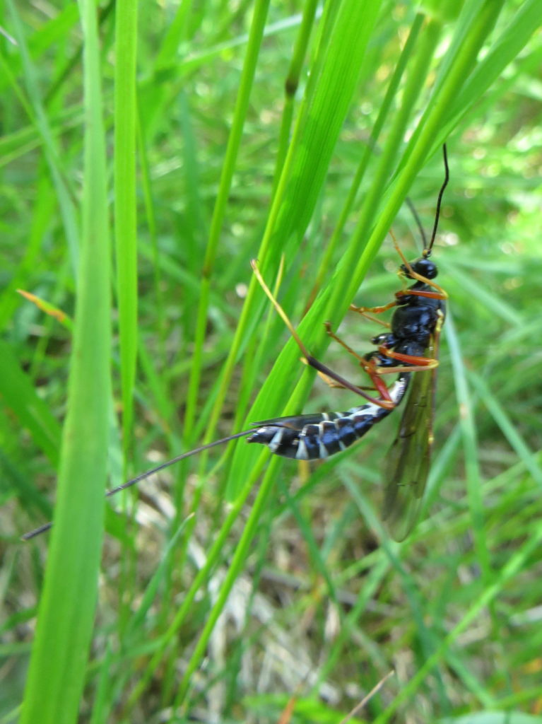 Valokuvaaja: Sirkka Ruotoistenmäki