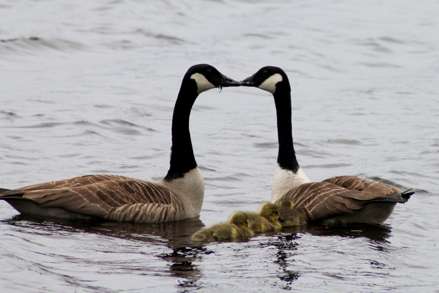 Valokuvaaja: Satu Kuntola