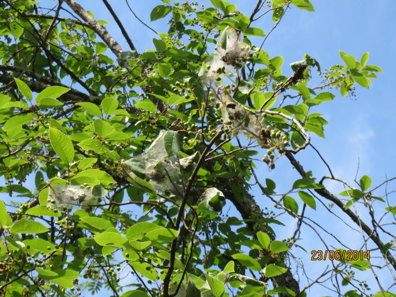 Valokuvaaja: Teija Huotari