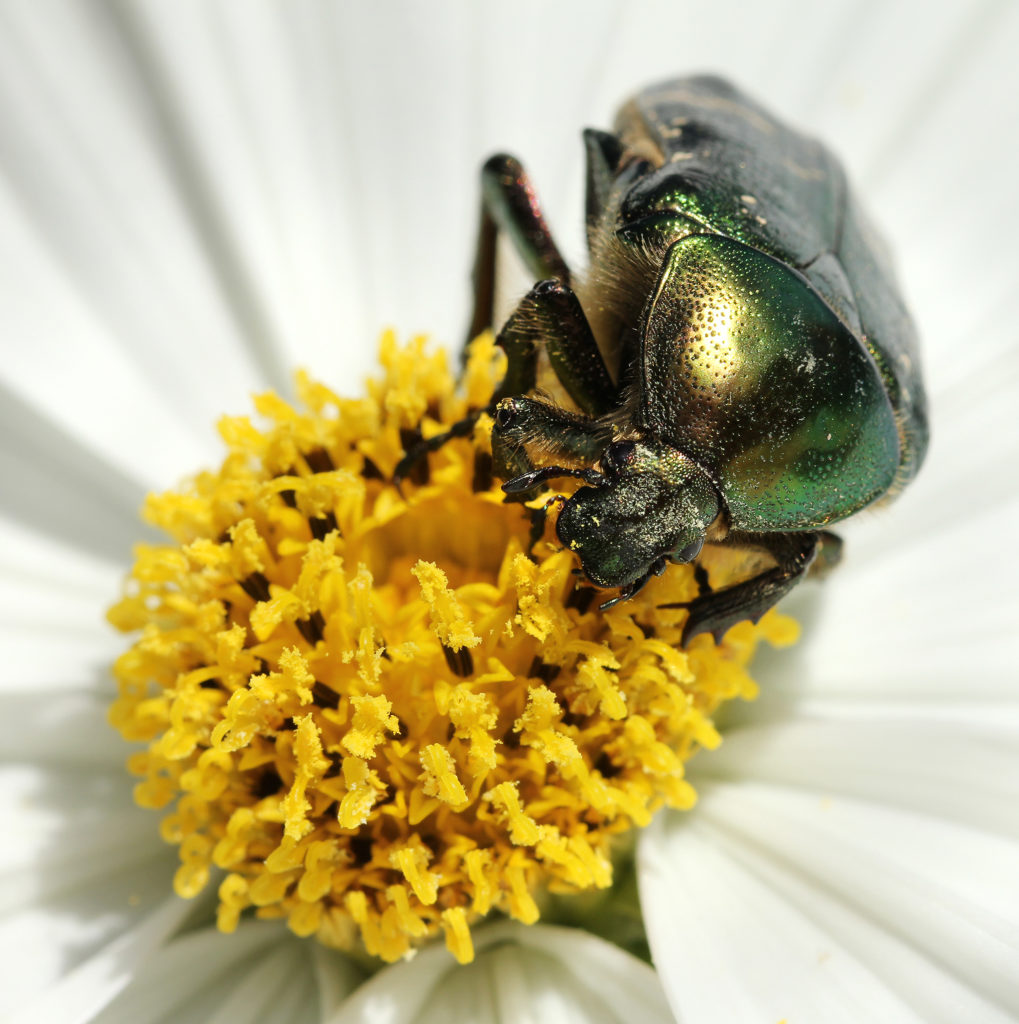 Valokuvaaja: Tarja Porkkala