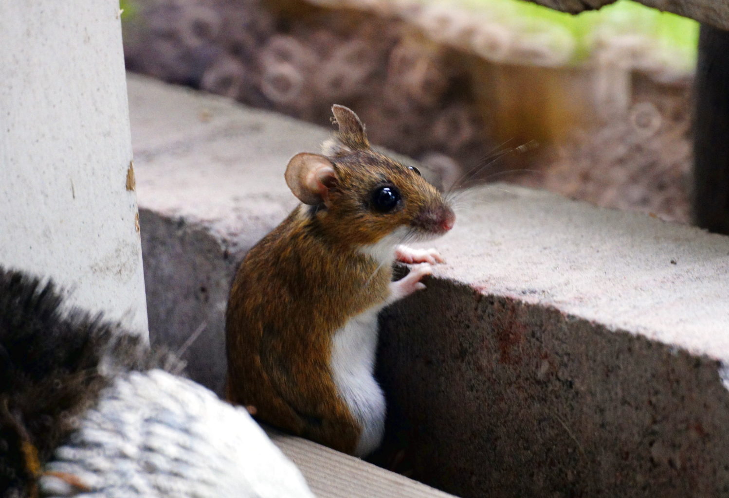 Valokuvaaja: Simo Pilpola