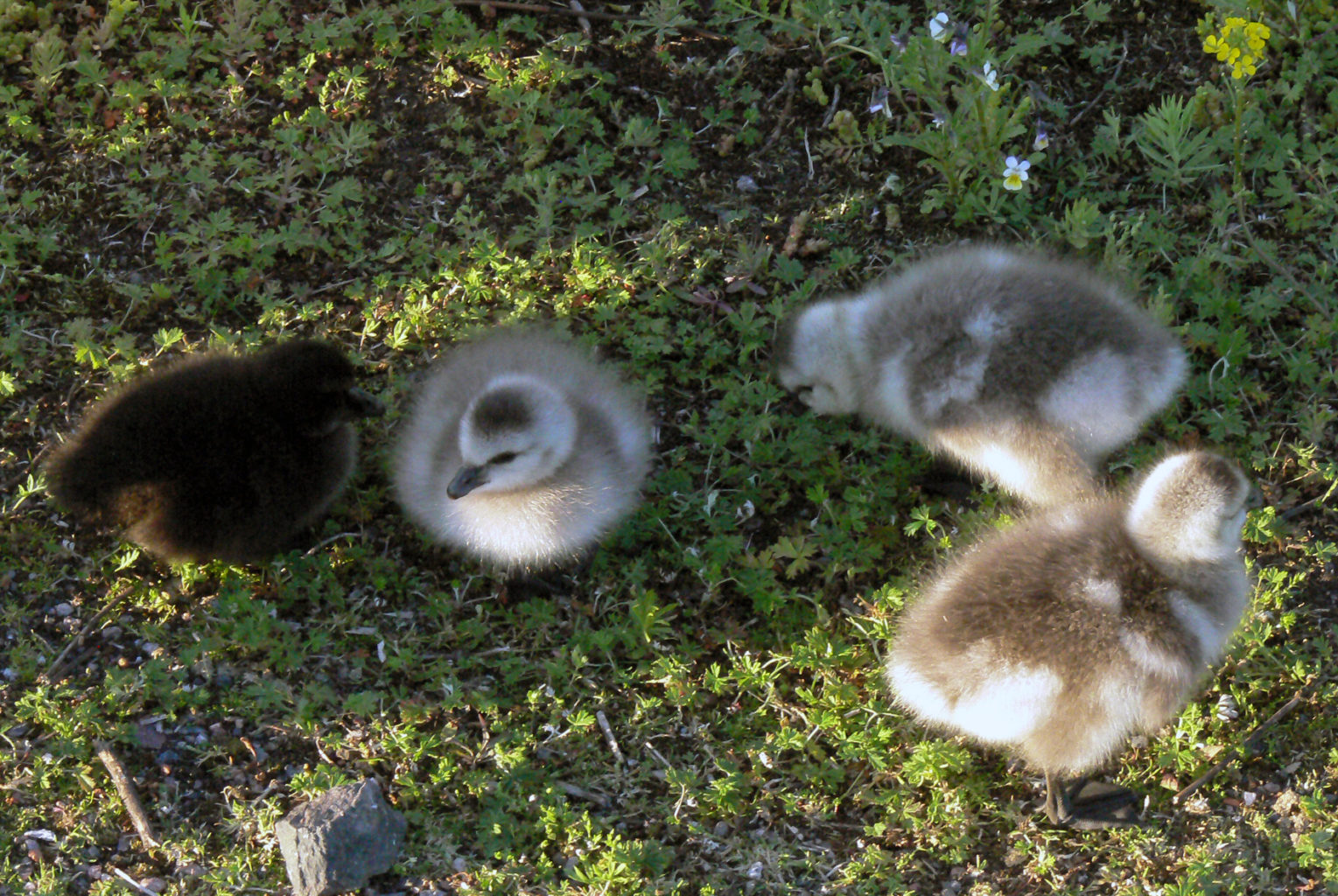 Valokuvaaja: Markku Tanttu