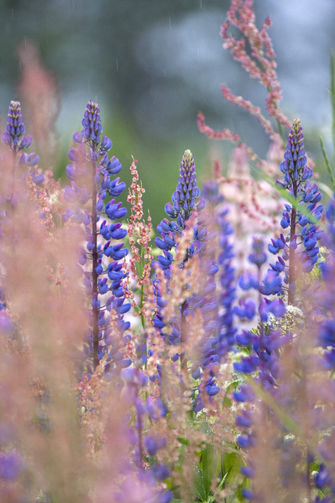 Valokuvaaja: Maija-Liisa Mälkiä