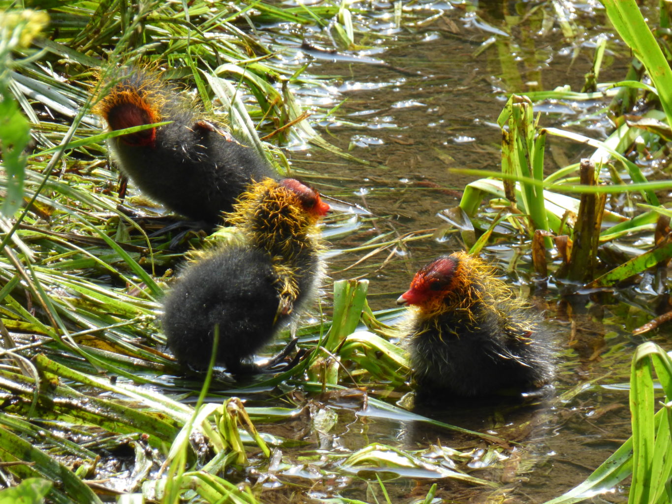 Valokuvaaja: Teijo Liiti