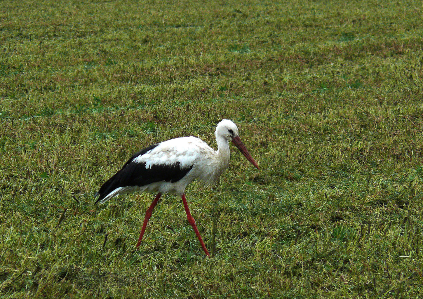 Valokuvaaja: h rasiranta