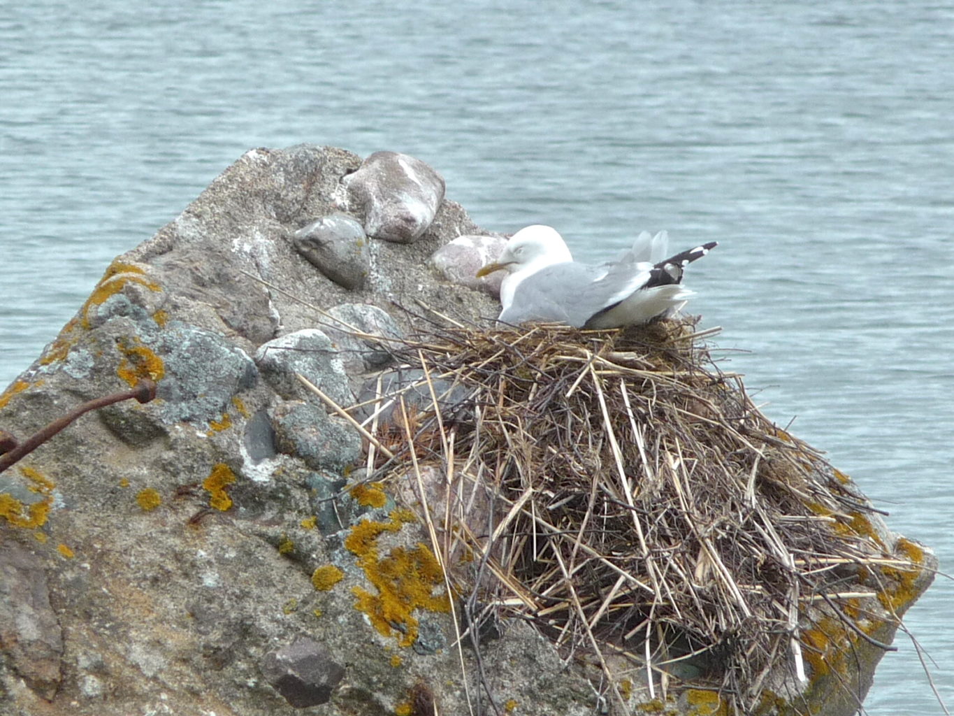 Valokuvaaja: Katri Lehtonen