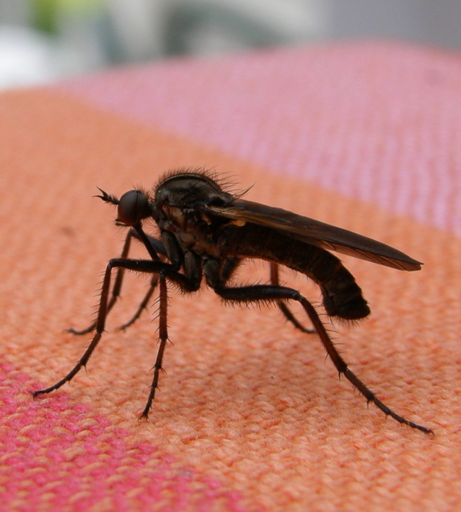 Valokuvaaja: Mika Kunnasvaara