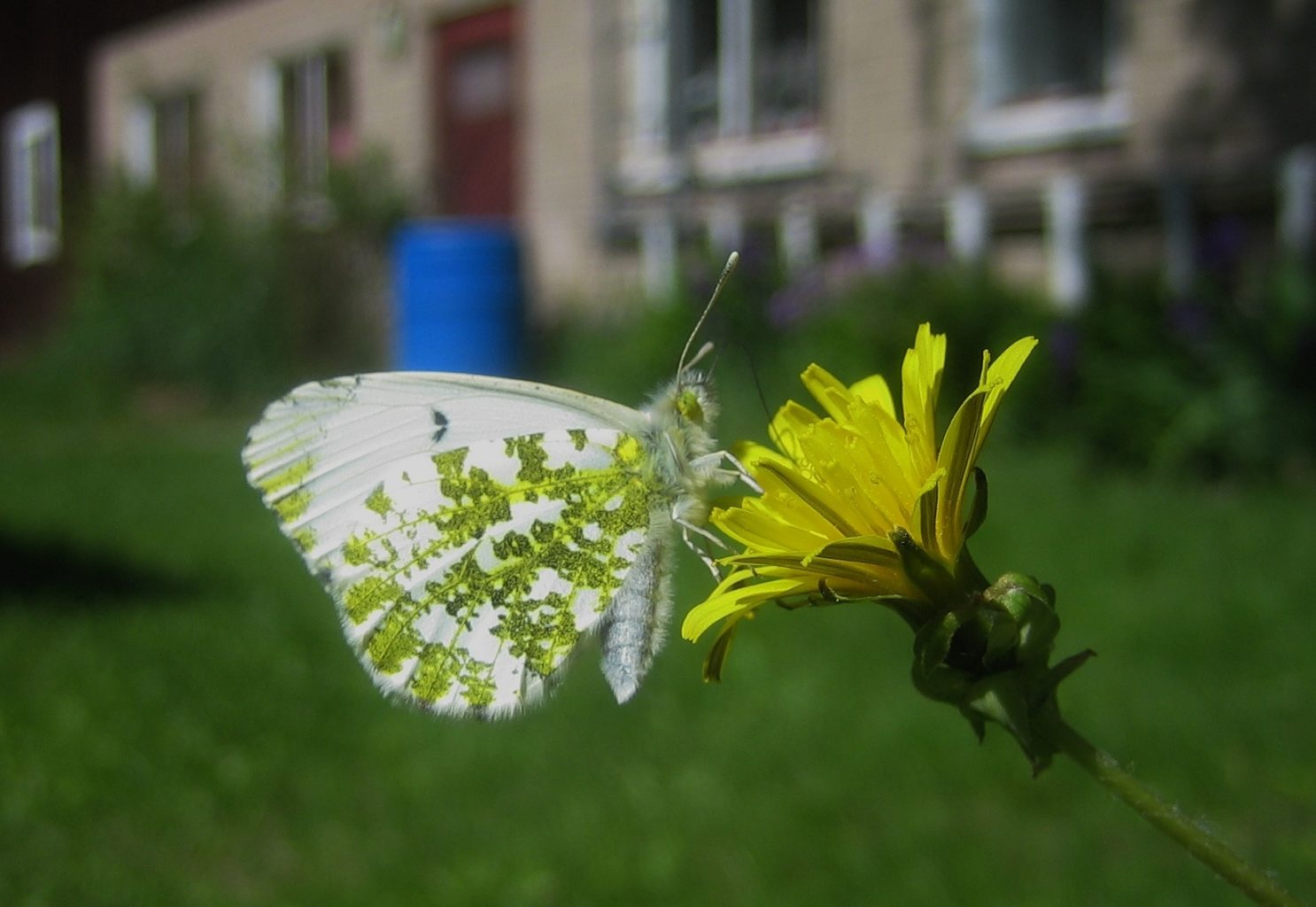 Valokuvaaja: Juhani Kolari