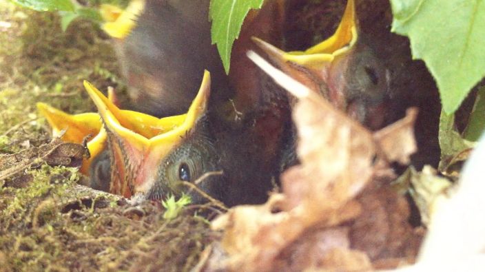 Valokuvaaja: Jukka Perälä