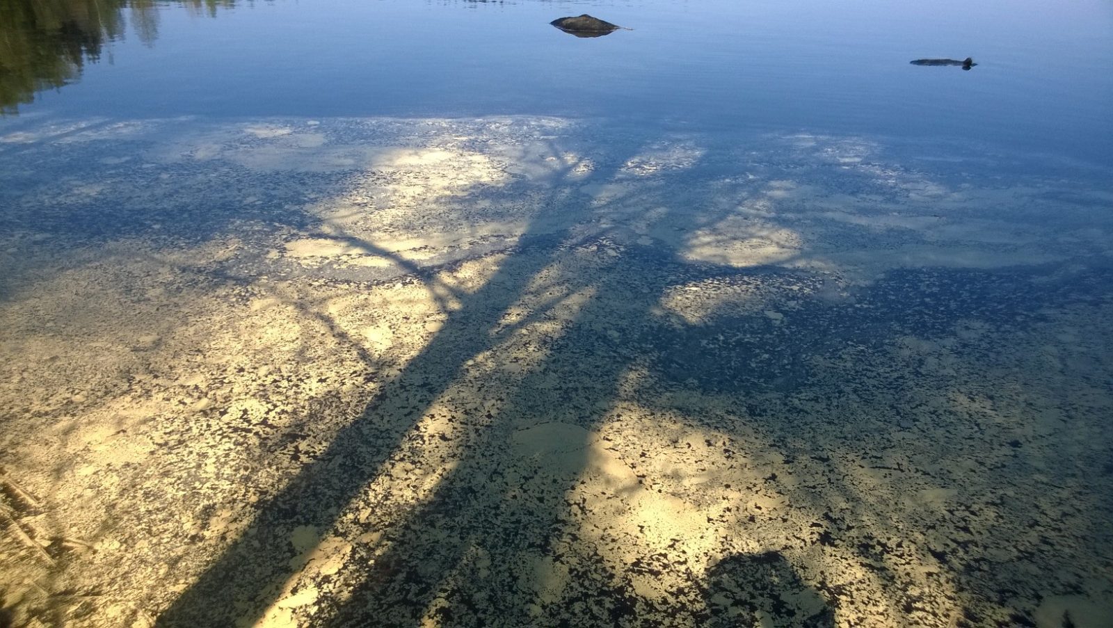 Valokuvaaja: Tarja Nenonen