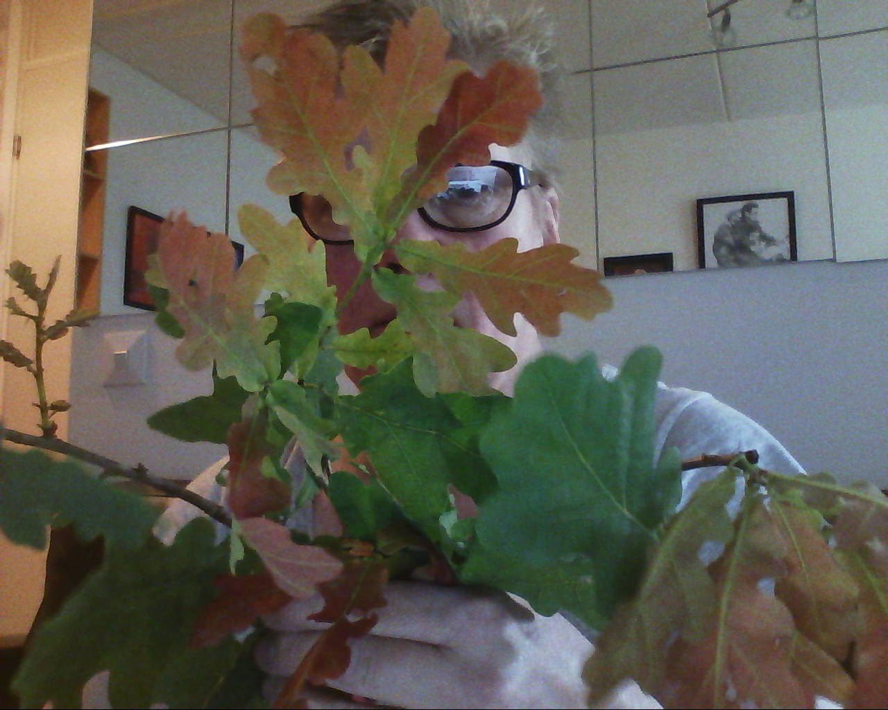 Valokuvaaja: Sinikka Rautio