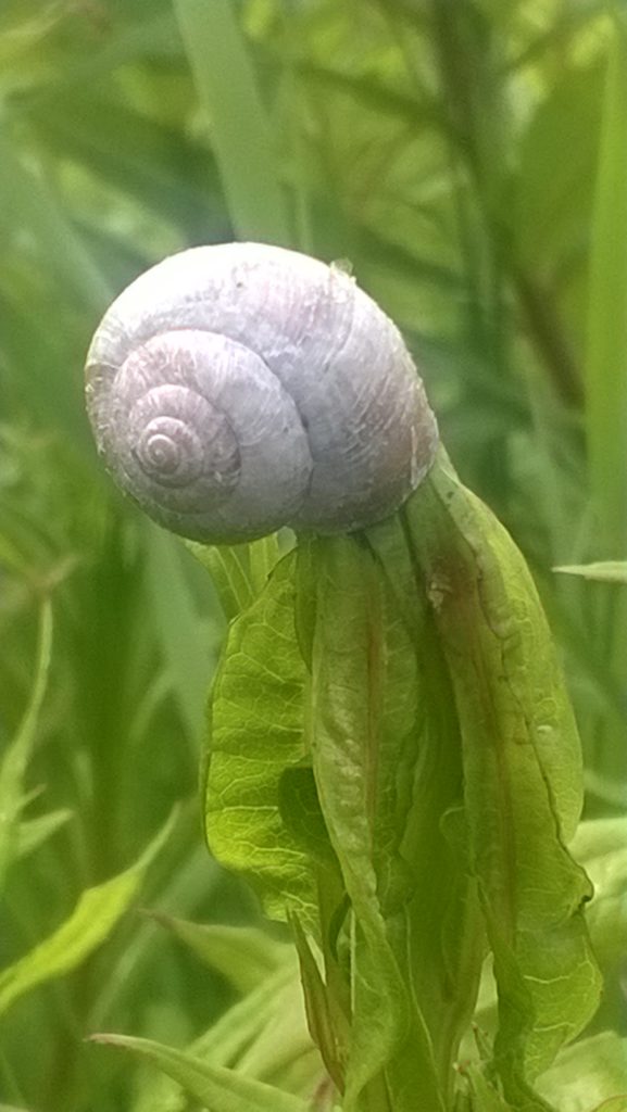 Valokuvaaja: Maire Hänninen