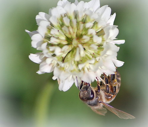 Valokuvaaja: Eija Varjola