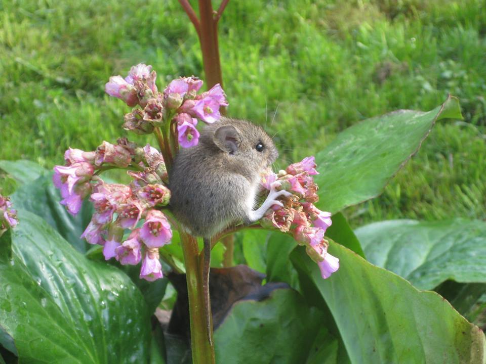 Valokuvaaja: Mari Varis